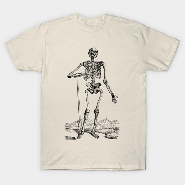 Vintage Human Anatomy Skeleton T-Shirt by MasterpieceCafe